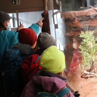 2852c3ea479ddec8dc6f82a4dbd8df6d