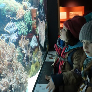 2deaafb7b61a2cfa4fdca5e30e52b7a6