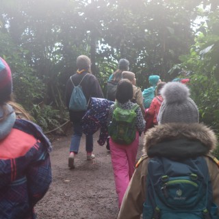 2fd2c2acae3a71e3cec72bd895307abc