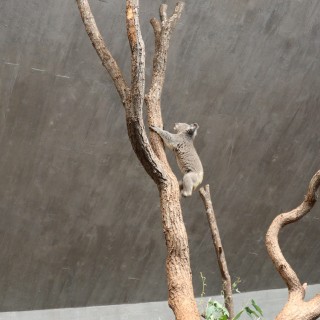 d76f648c6f94d56a74c6c41cd73a5063