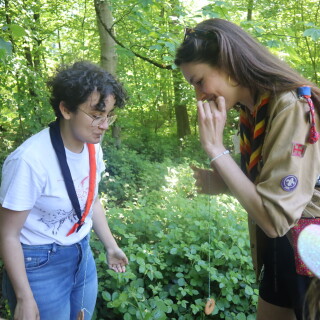 8d2da8c4141b499776fa0f28dc239156