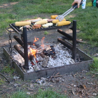 c4a2ff79d30dde5728ad22fca1f406f6