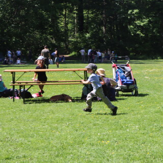 cc66ea32ecea9e47328c5a5d117eab0c