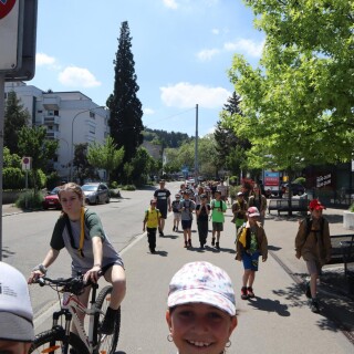 cba04dea365882af8983ea73e6f76edd