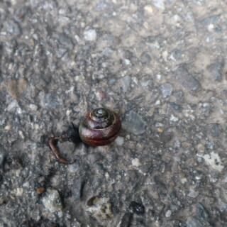 196cb94cc5a726d5719d7ef58a1f2792