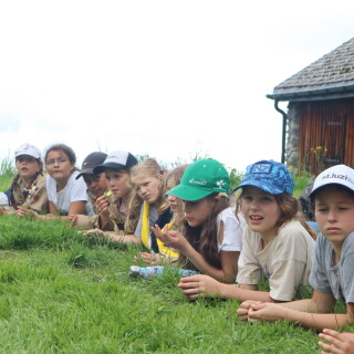 760a2a3b2da05bf2dc295419585176d5