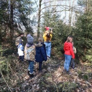 2ceb77154dde0245e6bc4f8d1a35b21a