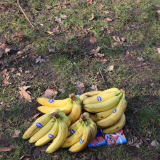 97f424c8f018996e7e0f977188bfa088