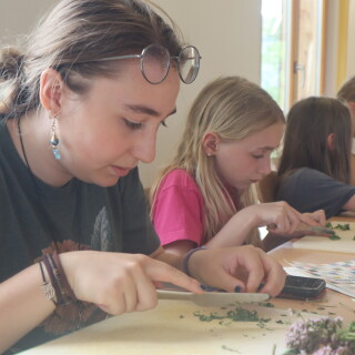 0d19f34d47c2bf20e9c3dc8b5d270aa7