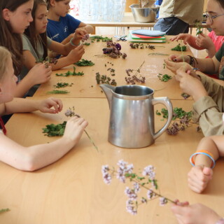 40a149f7e3ee6c00bbc2ec456baf90dd