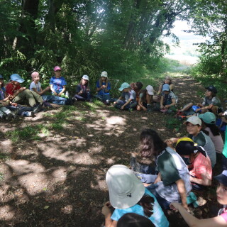 5b5f81b087d49b4a08224ce32fc40493