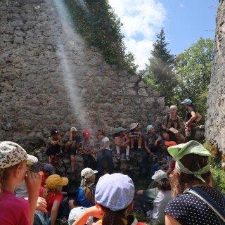 735d1a2713b96383cd94fce8882c9b65