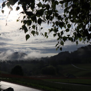 84881c7d7b58debe78e6a4a31896e5bb