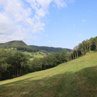 85fed9a005d51b44ebd28d448cfe2738