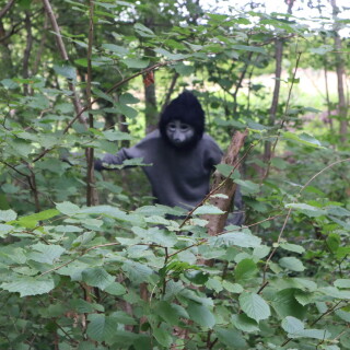 98589aa36fb3c02c61d7b5b1c21b8e44